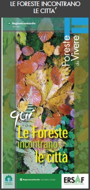 paysage foreste incontrano