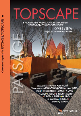 paysage topscape archivio