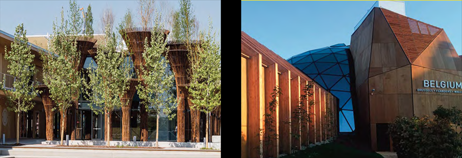 Questo testo viene mostrato quando l'immagine è bloccata