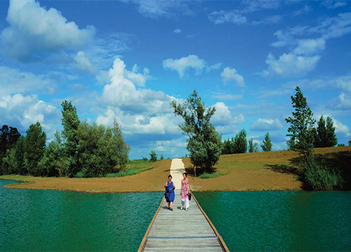 Questo testo viene mostrato quando l'immagine è bloccata