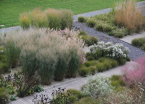 Questo testo viene mostrato quando l'immagine è bloccata