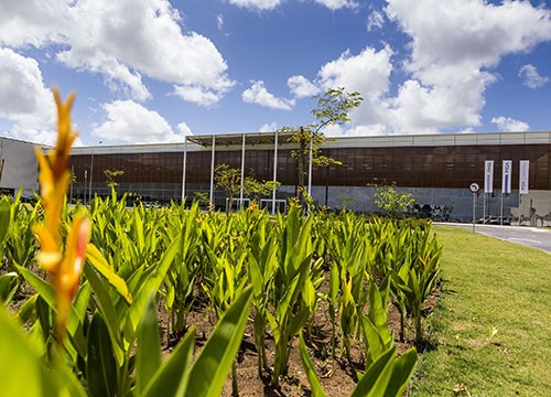 Questo testo viene mostrato quando l'immagine è bloccata