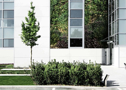 Questo testo viene mostrato quando l'immagine è bloccata