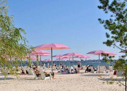 Questo testo viene mostrato quando l'immagine è bloccata