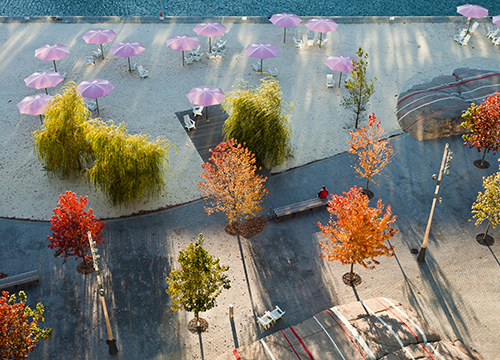 Questo testo viene mostrato quando l'immagine è bloccata