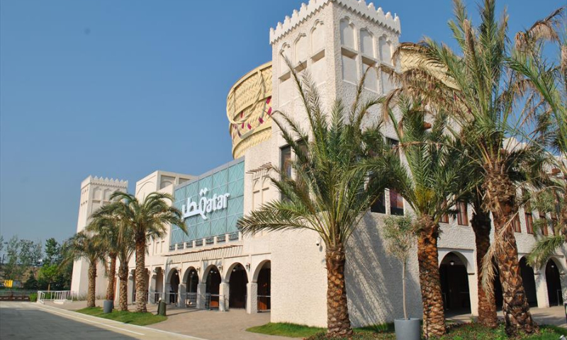 Questo testo viene mostrato quando l'immagine è bloccata