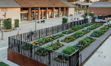 Questo testo viene mostrato quando l'immagine è bloccata