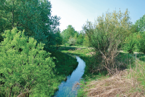 Questo testo viene mostrato quando l'immagine è bloccata