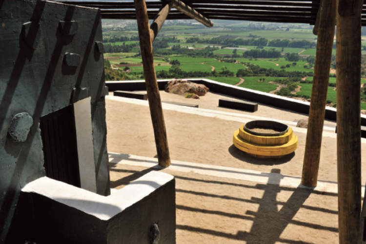 Questo testo viene mostrato quando l'immagine è bloccata