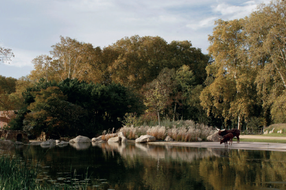 Questo testo viene mostrato quando l'immagine è bloccata