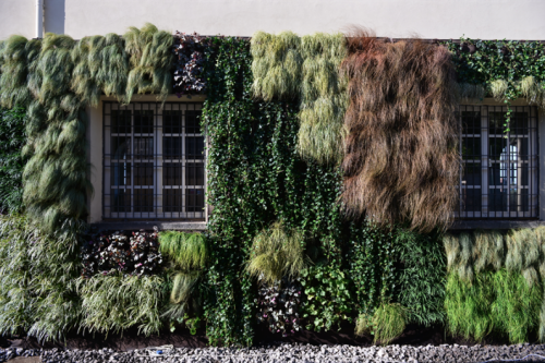 Questo testo viene mostrato quando l'immagine è bloccata