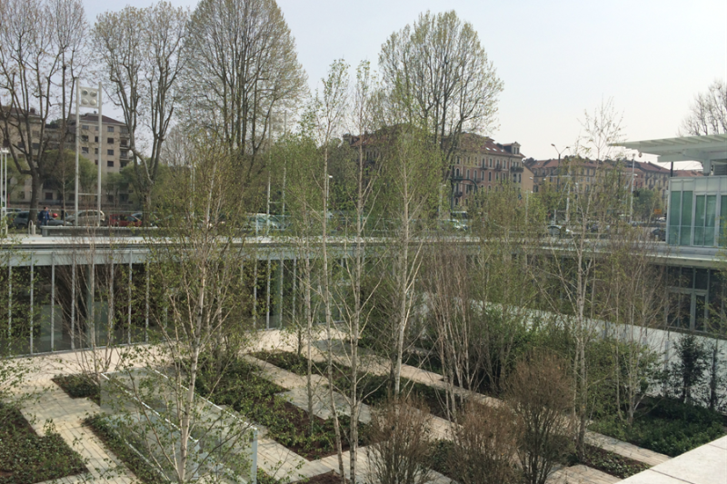 Questo testo viene mostrato quando l'immagine è bloccata