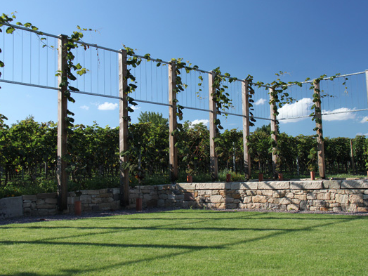 Questo testo viene mostrato quando l'immagine è bloccata