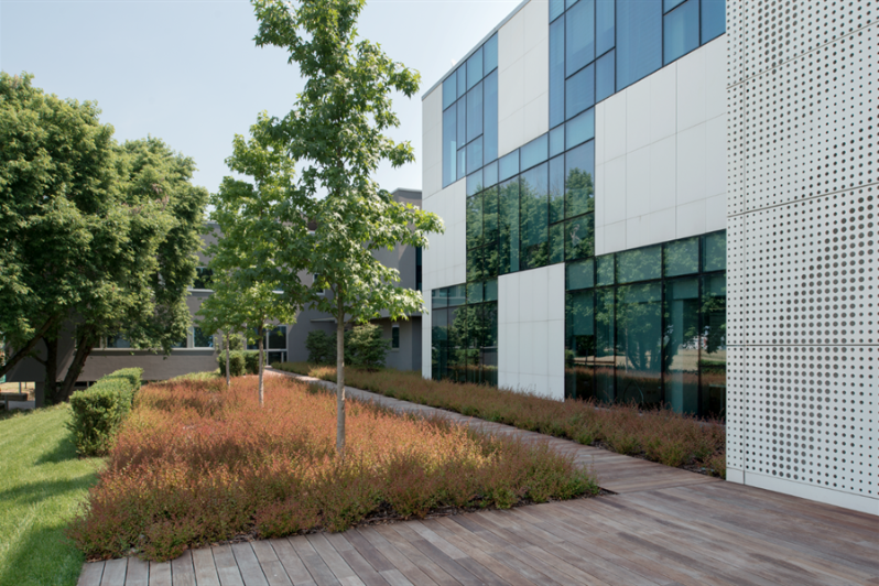 Questo testo viene mostrato quando l'immagine è bloccata