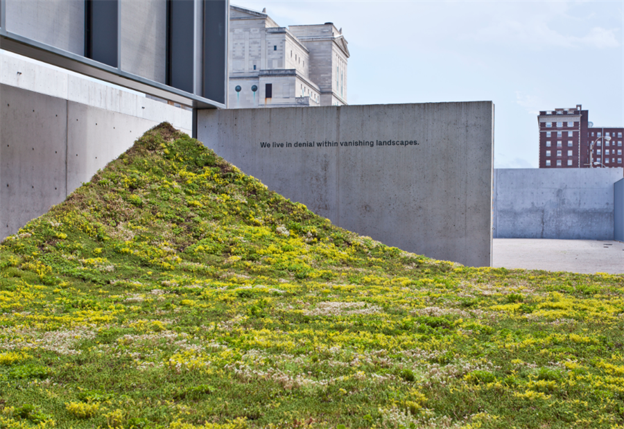 Questo testo viene mostrato quando l'immagine è bloccata