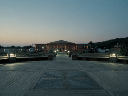 Questo testo viene mostrato quando l'immagine è bloccata