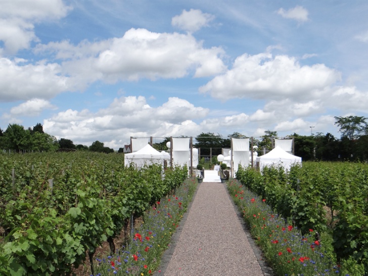 Questo testo viene mostrato quando l'immagine è bloccata